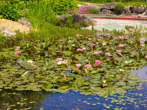 Egiiwil WEB (46 von 59)