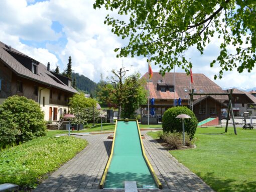 Hirschen 2018. Garten und Tiere 003